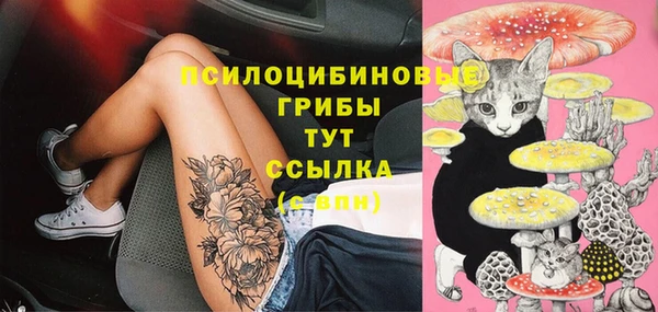 кокс Алексин